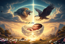 جاي البراء